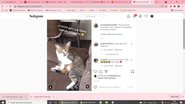 Reprodução / Redes Sociais
