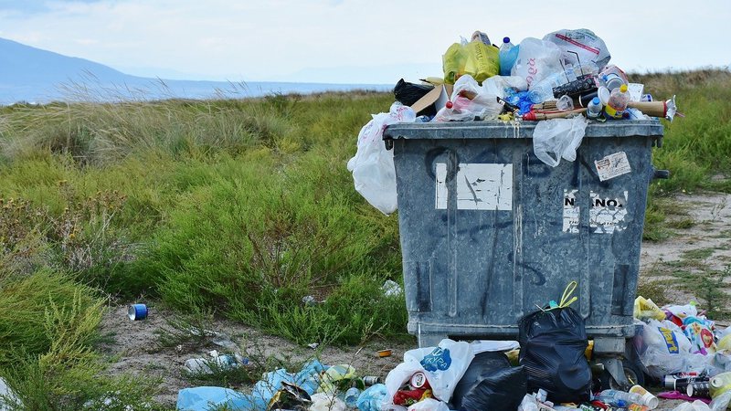 Saiba como o consumo consciente impacta no meio ambiente