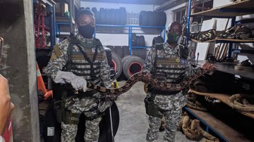 Divulgação/Guarda Civil