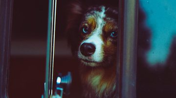 Reprodução / Pinterest