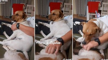 Reprodução / TikTok