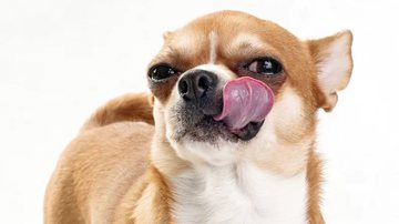 Thinkstock