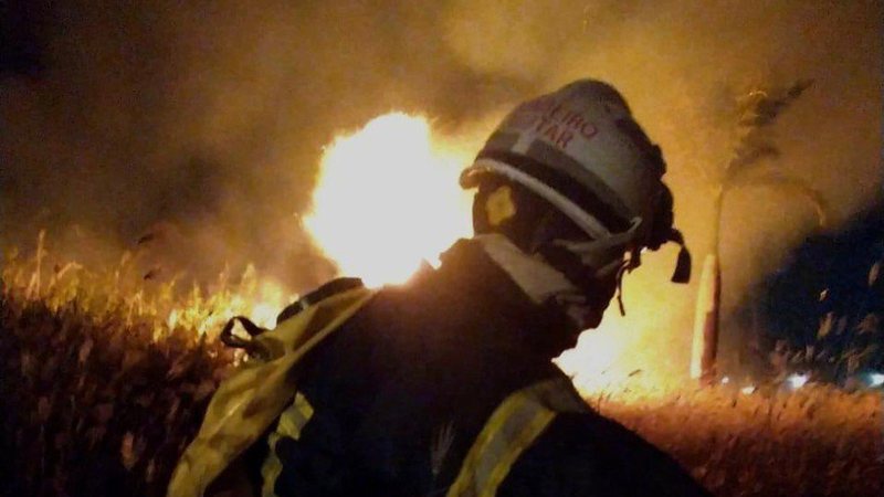 Divulgação/Corpo de Bombeiros