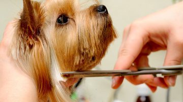 Reprodução / Pinterest