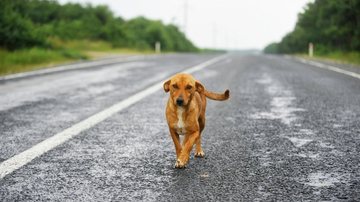 Reprodução / Pinterest