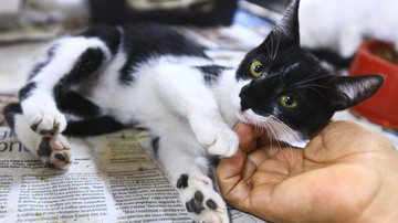 Geovana Albuquerque/Agência DF