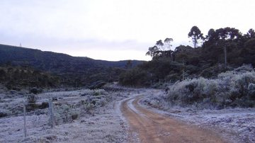 Divulgação/Defesa Civil Santa Catarina