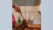 Reprodução