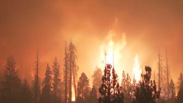 Reprodução/TV Globo
