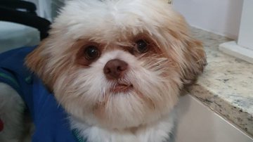 Reprodução/Arquivo Pessoal