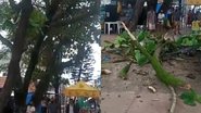 Reprodução/Twitter