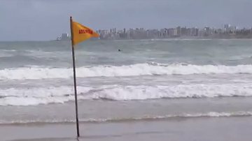 Reprodução/TV Bahia