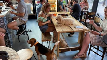 Reprodução/After Bark