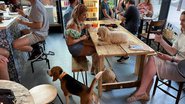 Reprodução/After Bark