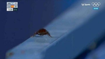 Reprodução / Redes Sociais