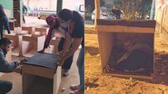 Reprodução/Wapa
