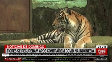 CNN Brasil