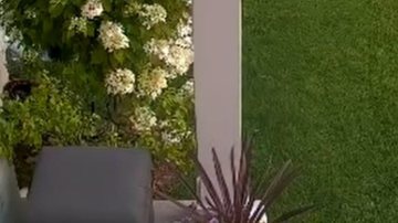 Reprodução/Youtube