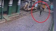 Reprodução