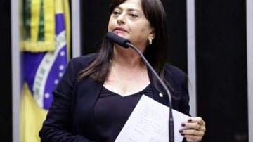 Najara Araujo/Câmara dos Deputados