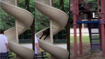 Reprodução/TikTok