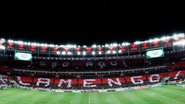 Alexandre Vidal/Flamengo
