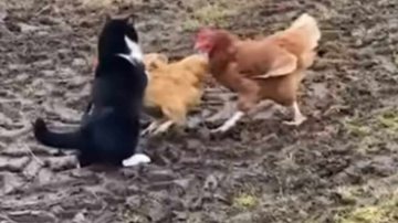 Reprodução/Facebook