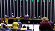 Najara Araujo/Câmara dos Deputados
