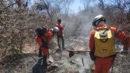 Divulgação/Corpo de Bombeiros