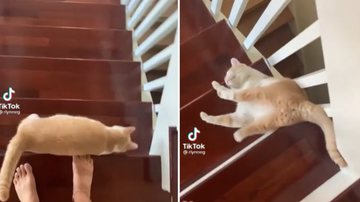 Reprodução/TikTok