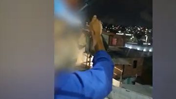 Reprodução/ Vídeo