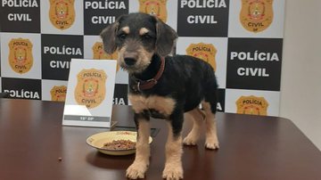 PCDF/Divulgação