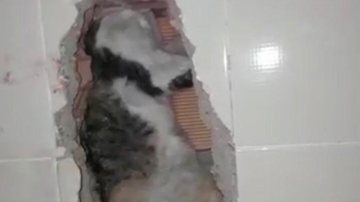 Reprodução / Redes Sociais