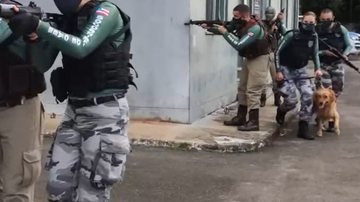 Divulgação