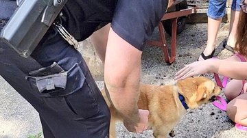 Reprodução/Twitter