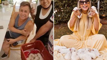 Reprodução/Instagram