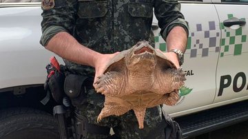Divulgação // Polícia Ambiental