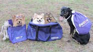 Reprodução/Petlove