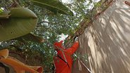 Diulgação/Corpo de Bombeiros