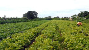 Arquivo/Agência Brasil