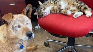 Reprodução/Facebook