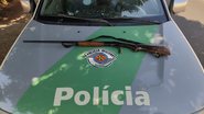 Polícia Militar Ambiental/ Divulgação