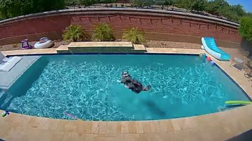 Reprodução/Youtube