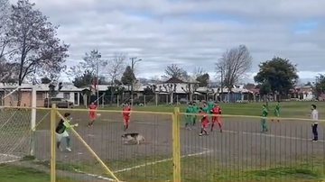 Reprodução/Instagram