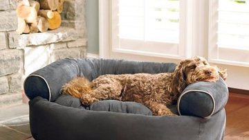 Reprodução/Pet Elegante