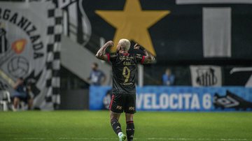 Alexandre Vidal / Flamengo