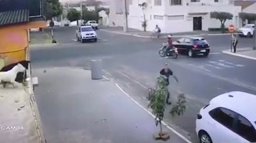 Reprodução/Vídeo