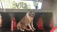 Reprodução / Redes Sociais