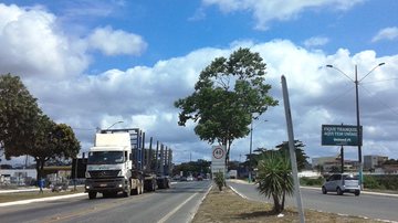 Reprodução/Wikipédia