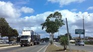 Reprodução/Wikipédia